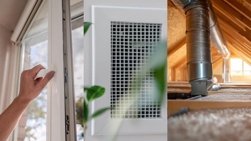 frisse-lucht.jpg