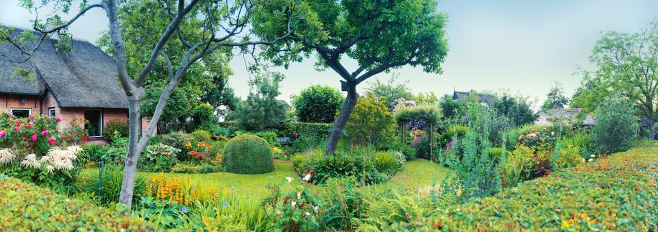 Groene tuin